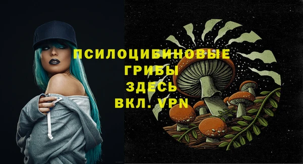 бутират Новодвинск
