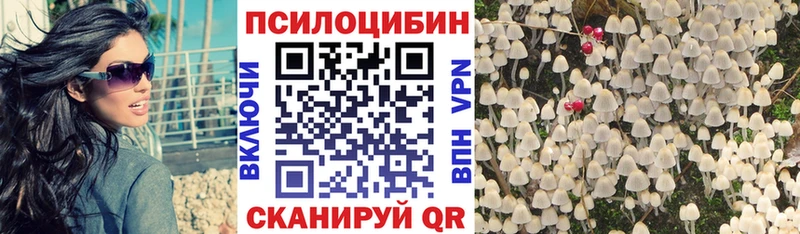 Псилоцибиновые грибы GOLDEN TEACHER  Стерлитамак 
