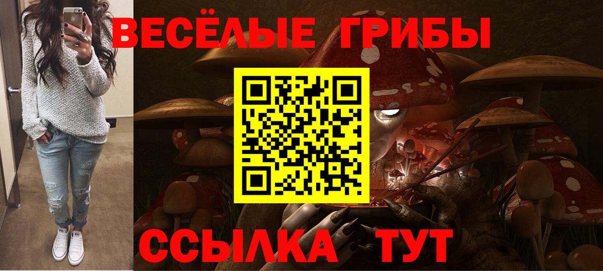 Галлюциногенные грибы Psilocybine cubensis  Вход с VPN  Стерлитамак 